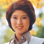 秋野暢子の若い頃が美しすぎる！昭和のドラマを彩った清純派女優の素顔とは？